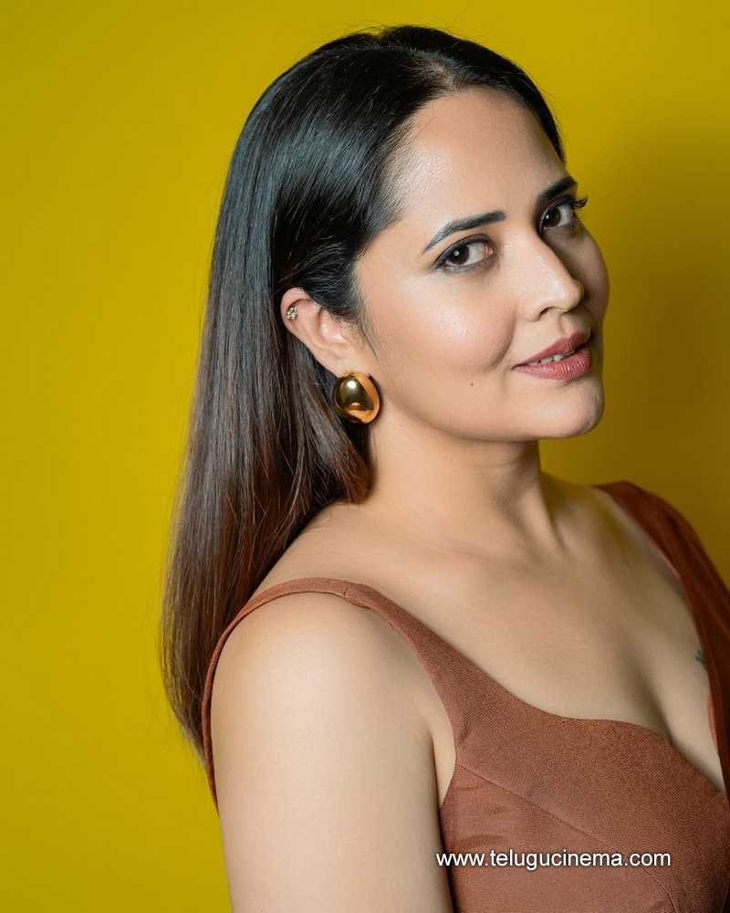anasuya stills 130824 04