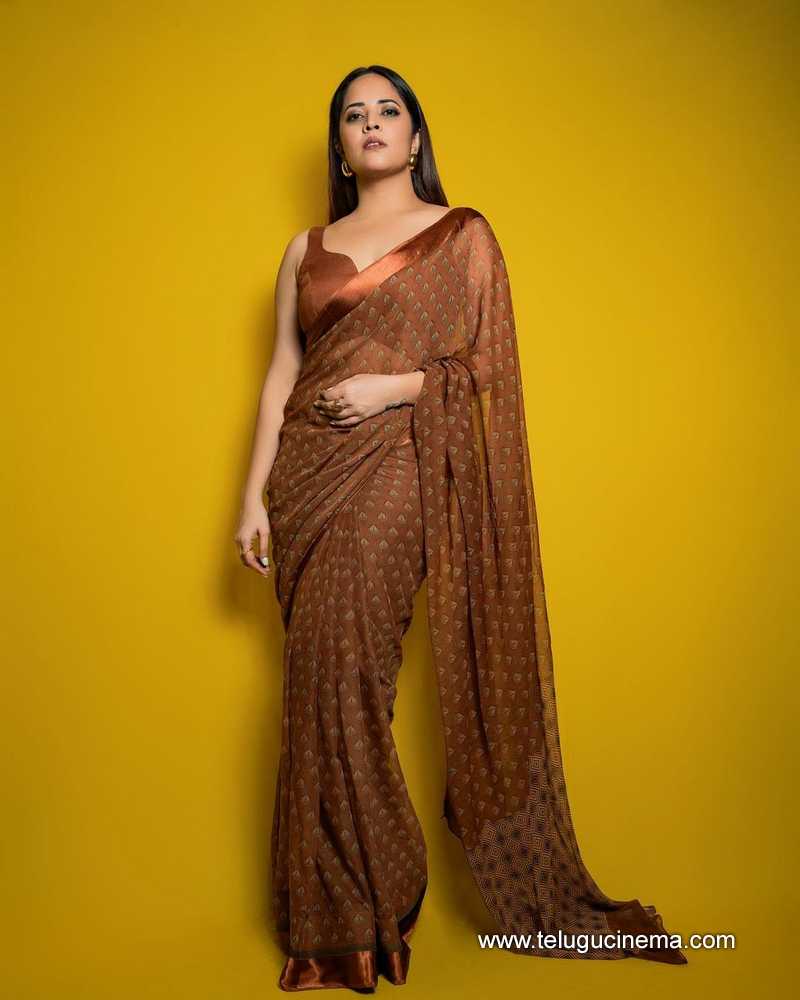 anasuya stills 130824 05