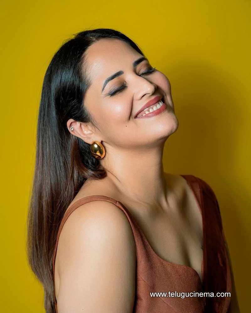 anasuya stills 130824 06
