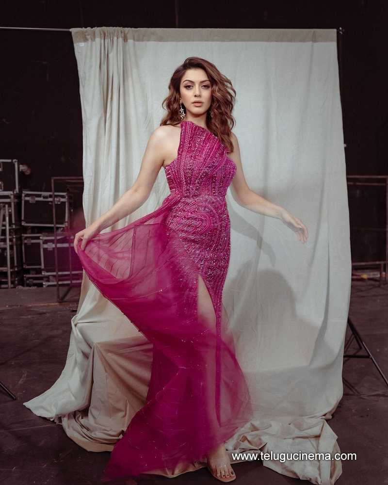 hansika stills 030924 03