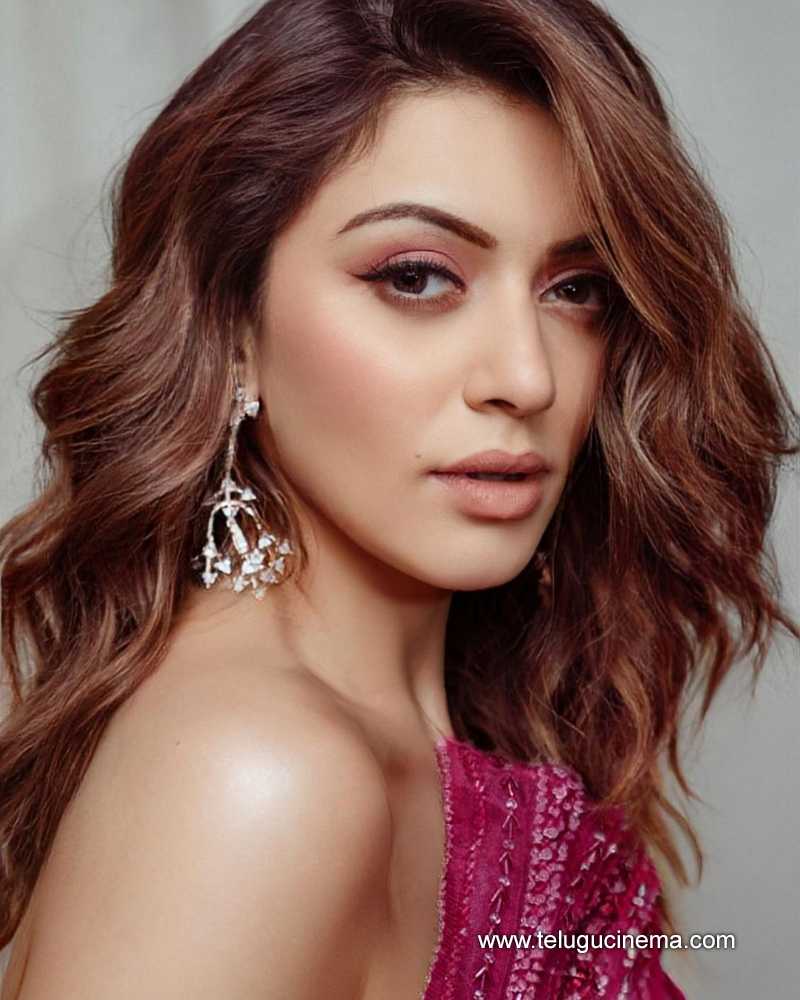 hansika stills 030924 05