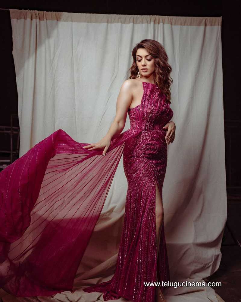 hansika stills 030924 07