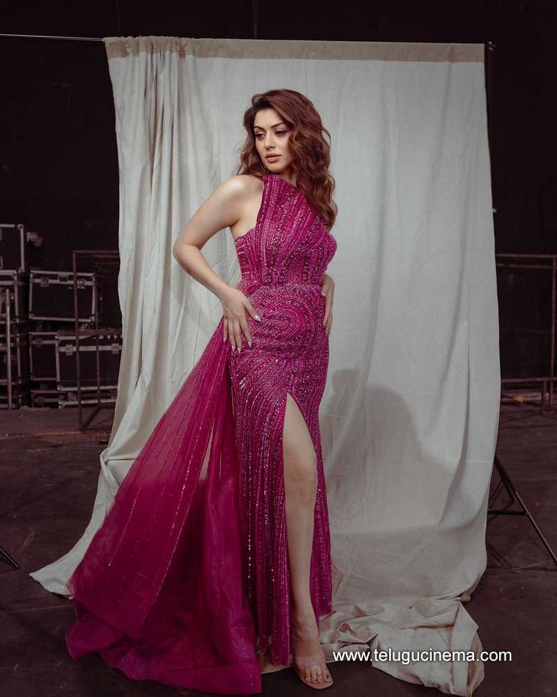 hansika stills 030924 12