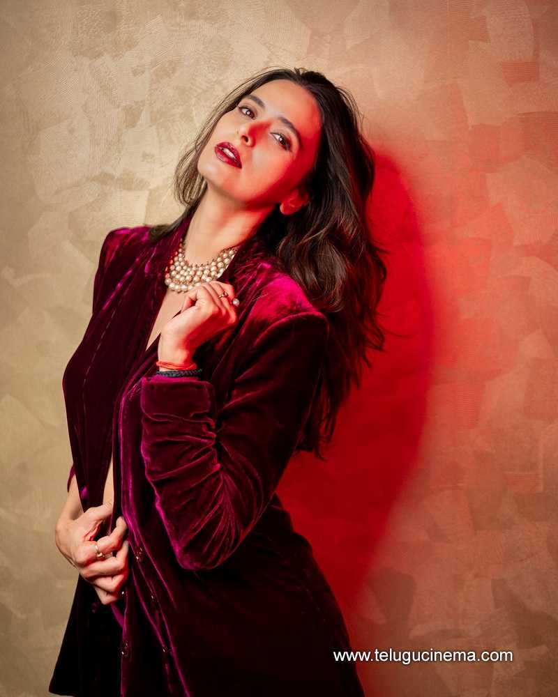 meenakshi stills 020924 02