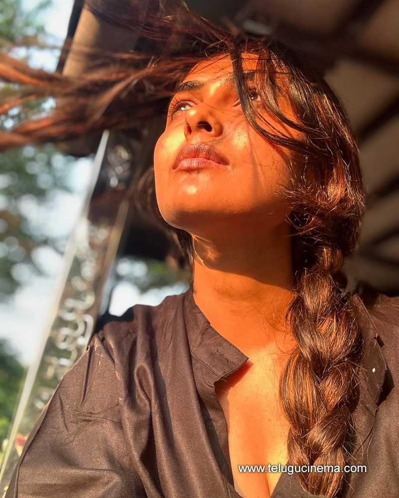 divi stills 101024 03