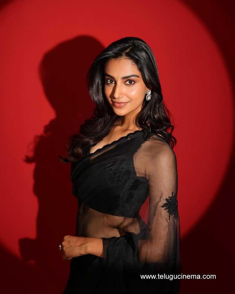 meenakshi stills 081024 03