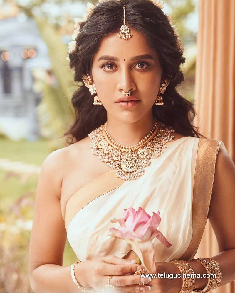 nabhanatesh stills 111024 03