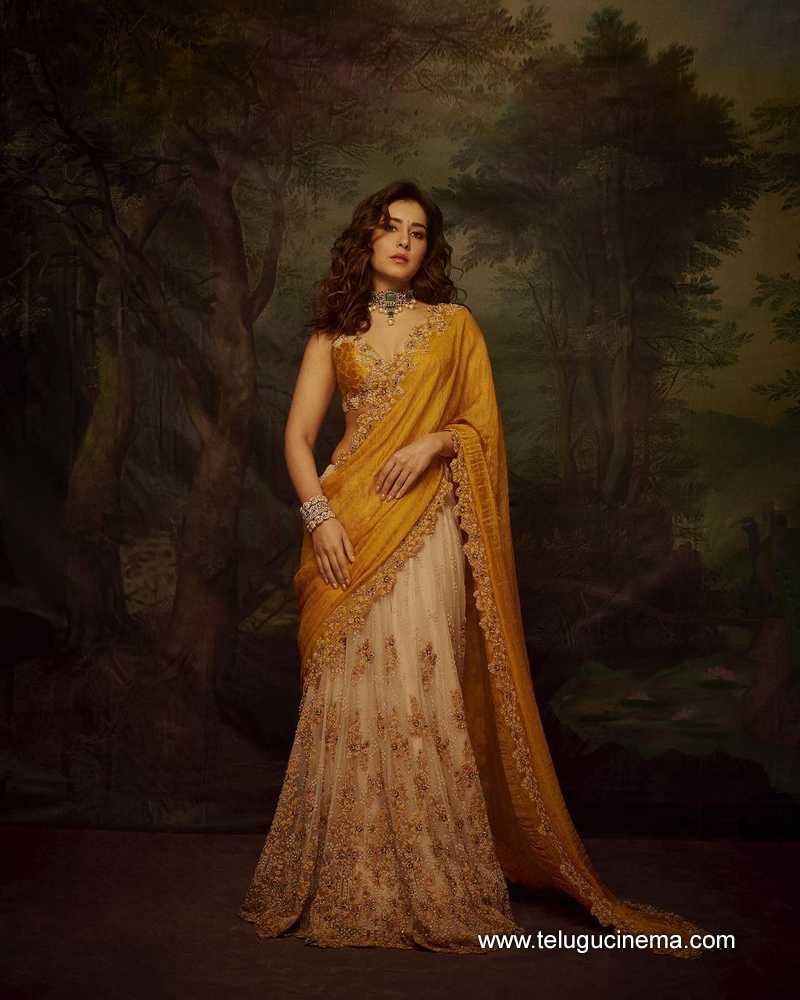 Raashi Khanna's Diwali 2024 advanced wishes