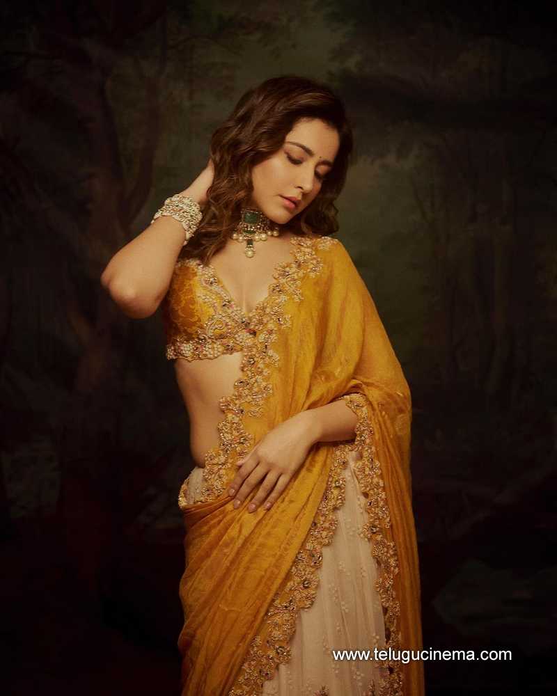 Raashi Khanna's Diwali 2024 advanced wishes