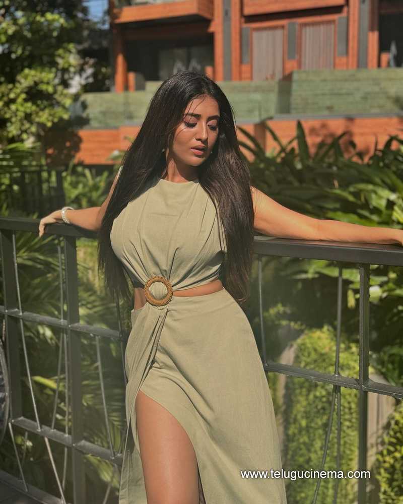 rashisingh stills 301024 02