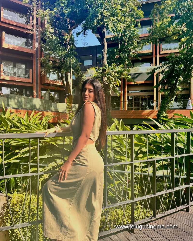 rashisingh stills 301024 06