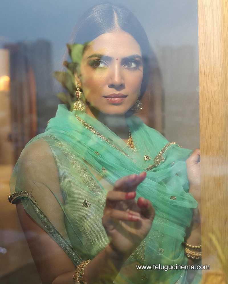 malavika stills 021124 03