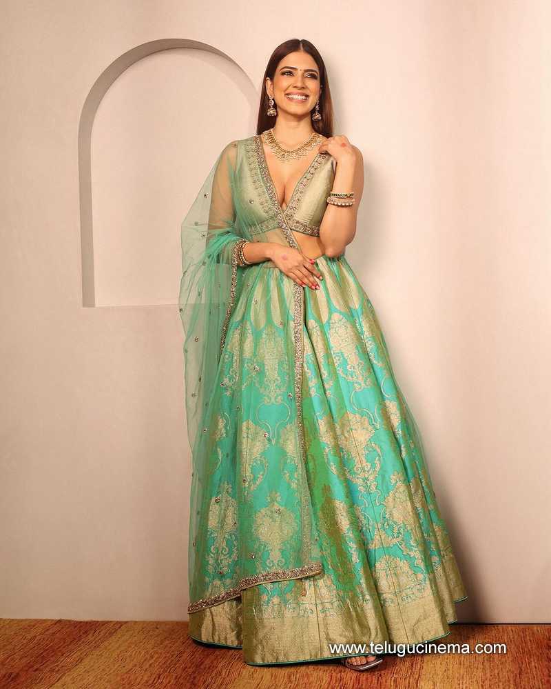 malavika stills 021124 05