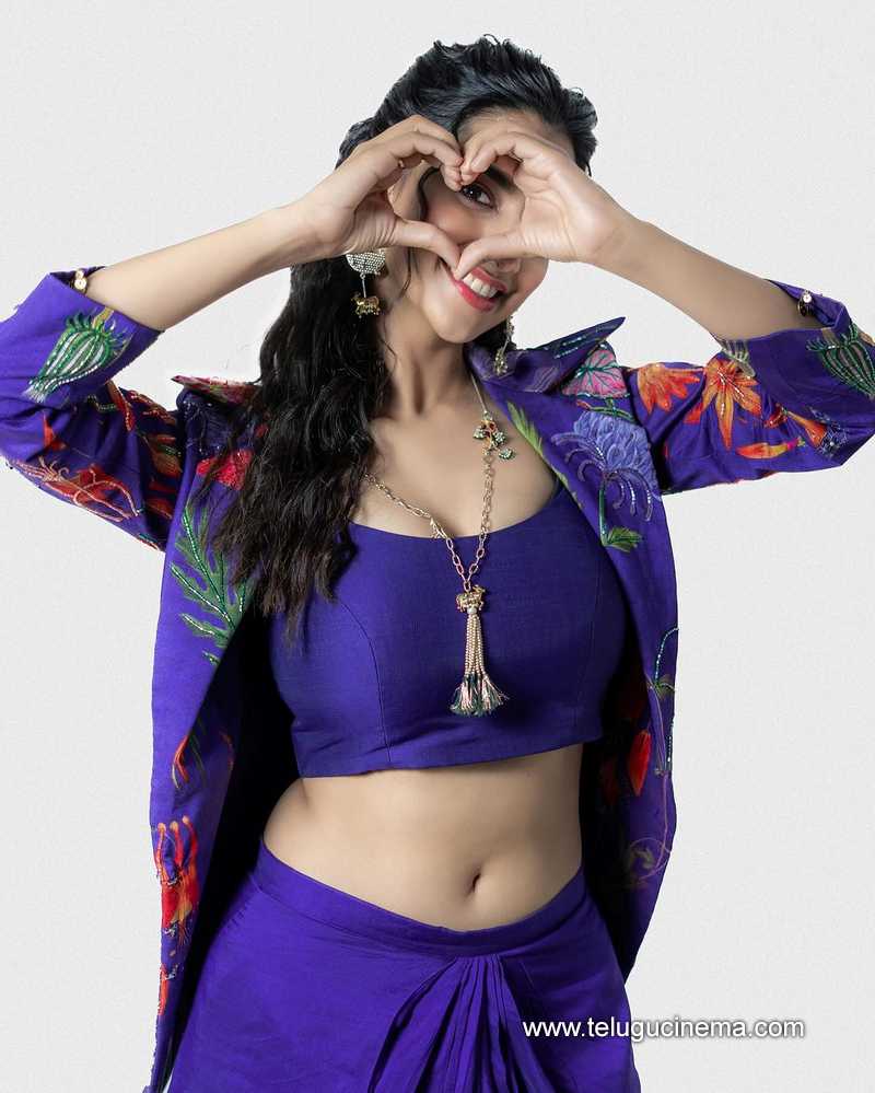 meenakshi stills 031124 02