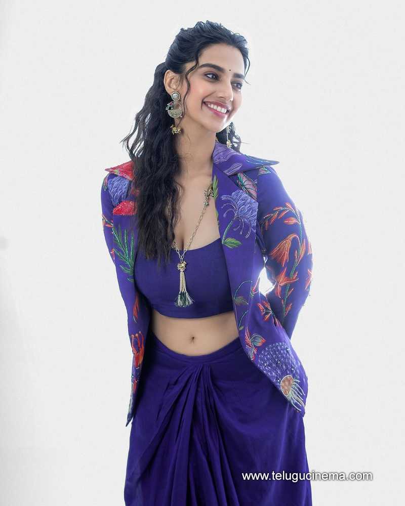 meenakshi stills 031124 03