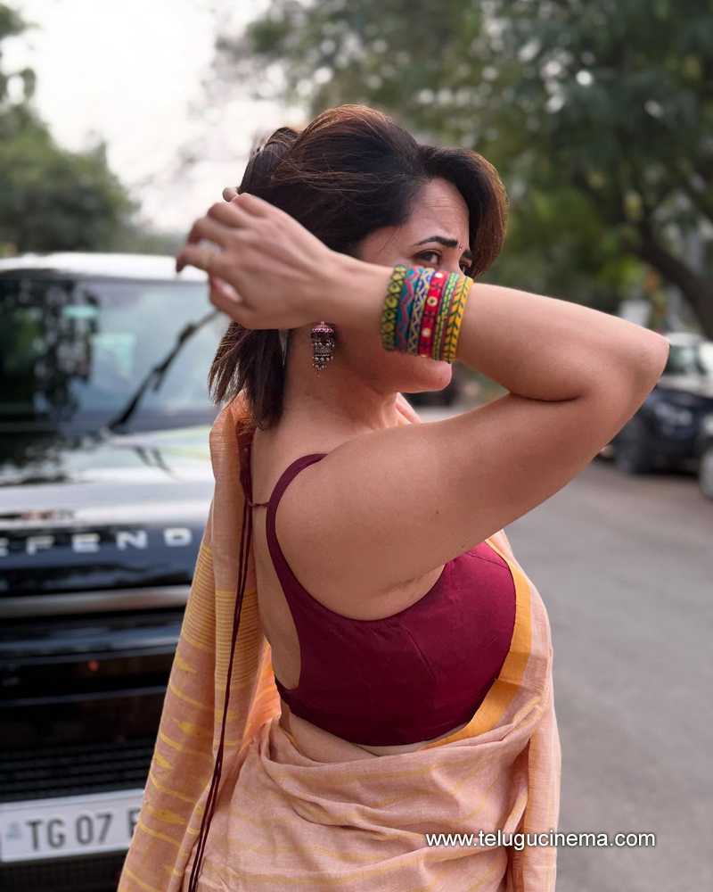 anasuya stilla 15012503