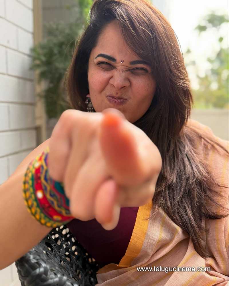 anasuya stilla 15012510