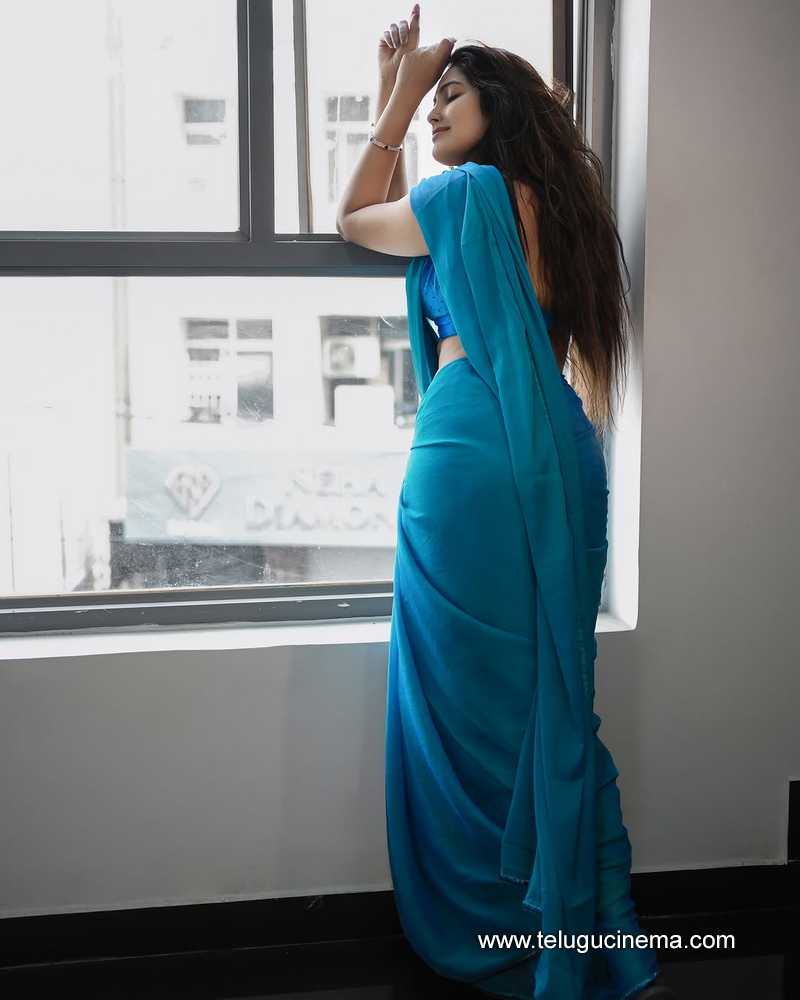 divi still 13022504