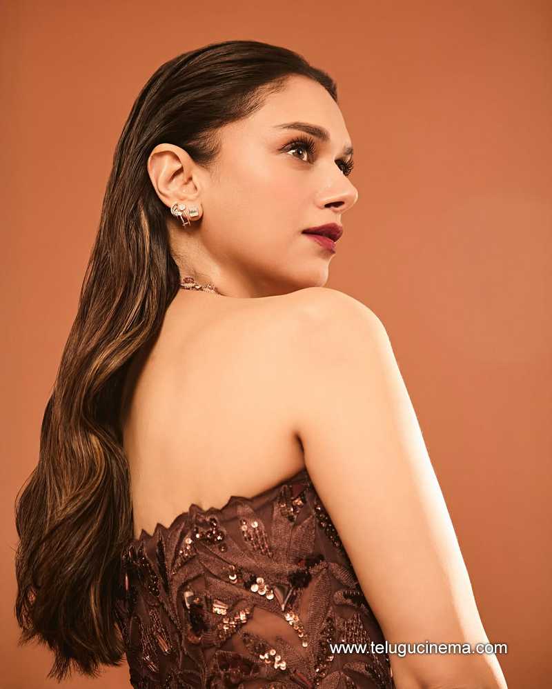 aditi stills 24032502