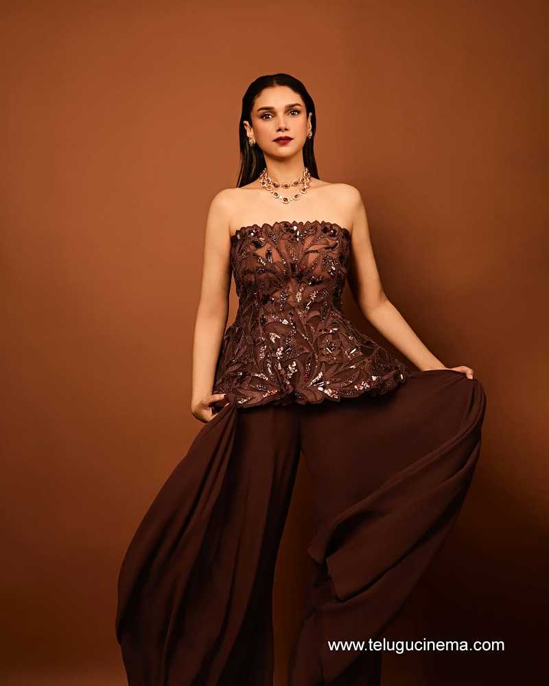 aditi stills 24032503