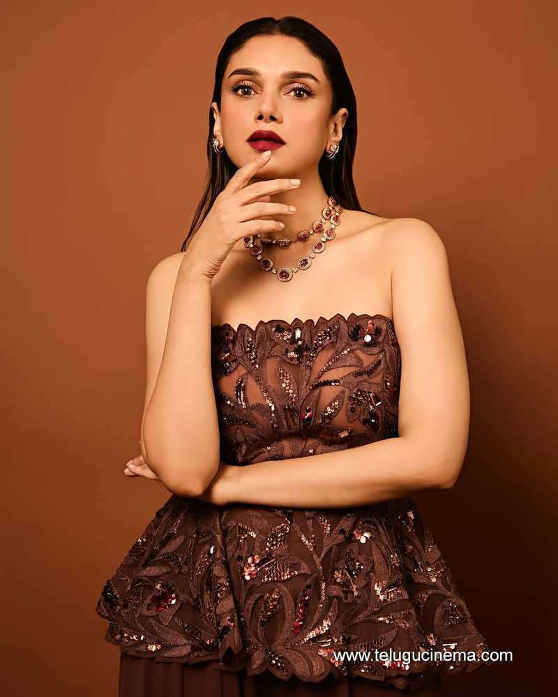 aditi stills 24032504