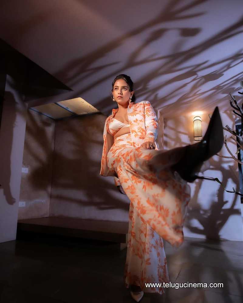 anjali stills 21032504