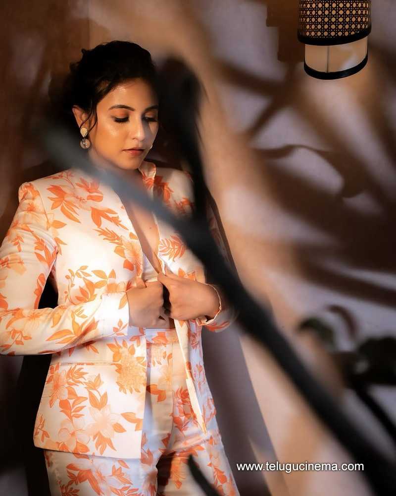 anjali stills 21032505