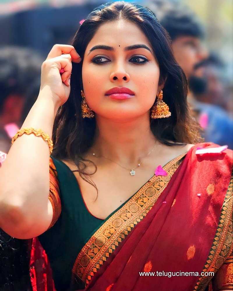 divi stills 18032503