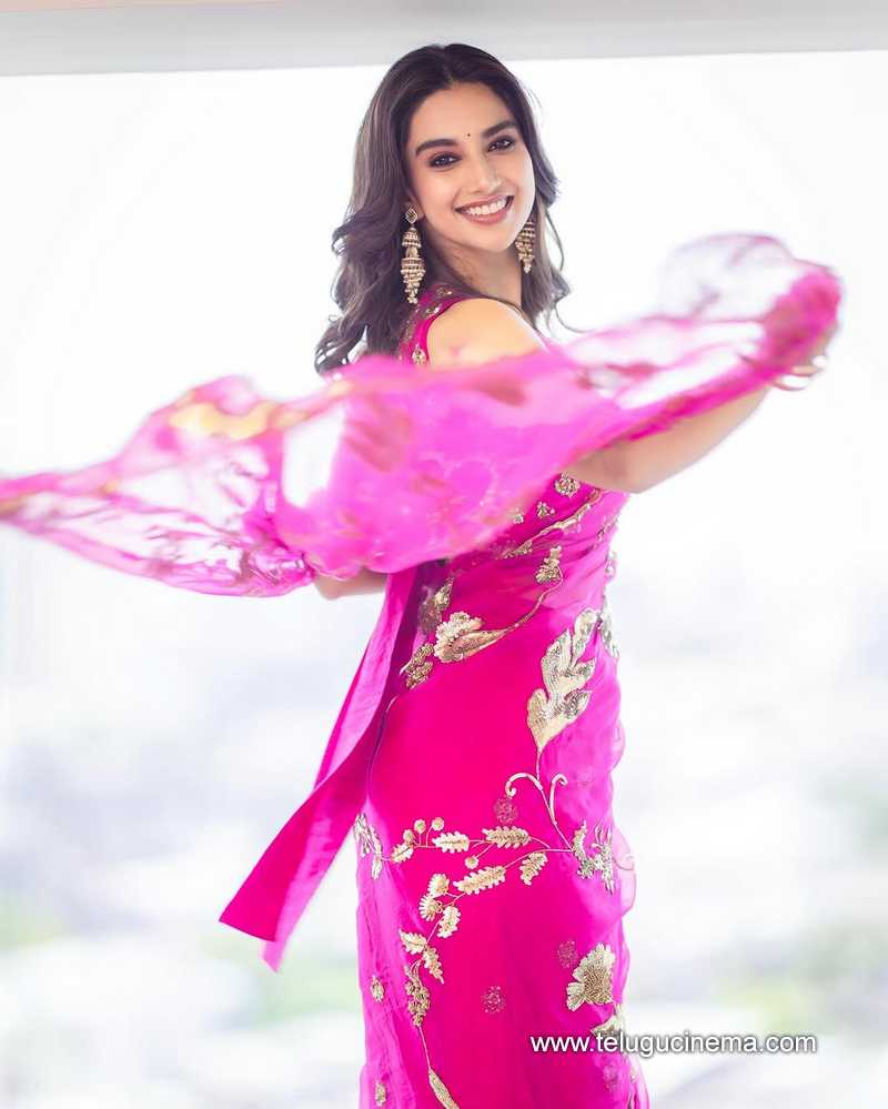 meenakhsi stills 15032502