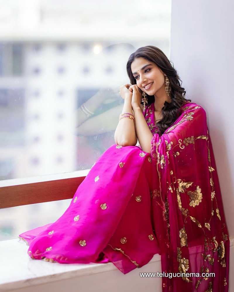 meenakhsi stills 15032503