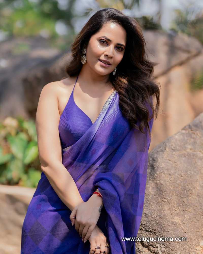 anasuya stills 03042502