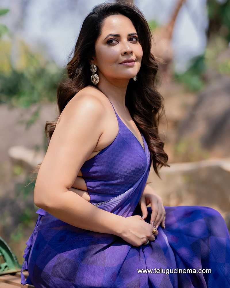 anasuya stills 03042503