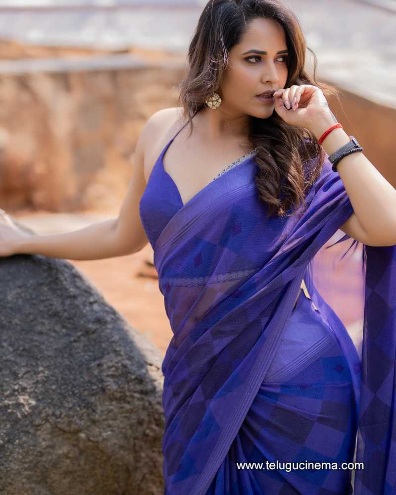 anasuya stills 03042508