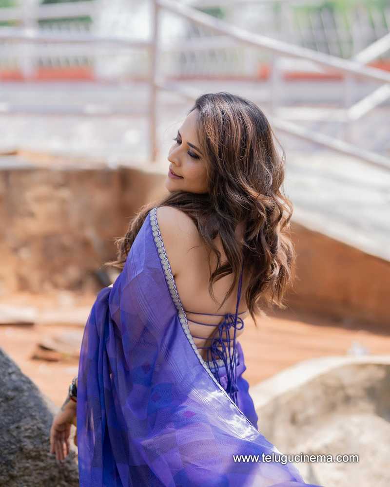anasuya stills 03042510