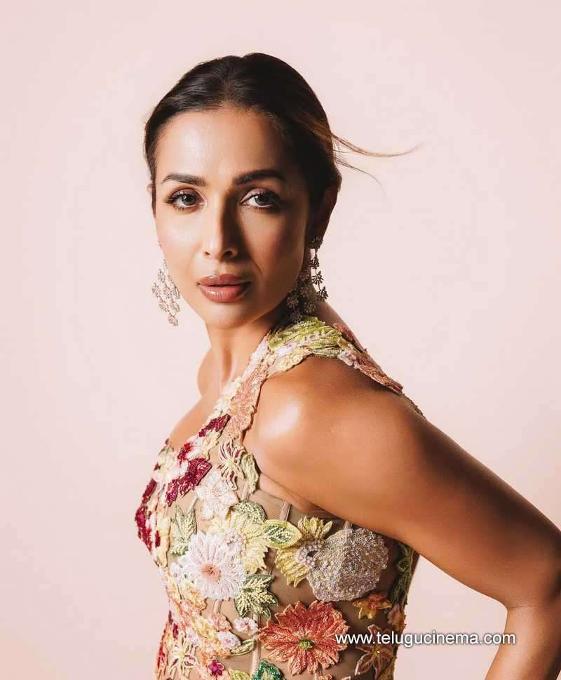 malaika stills 18042504