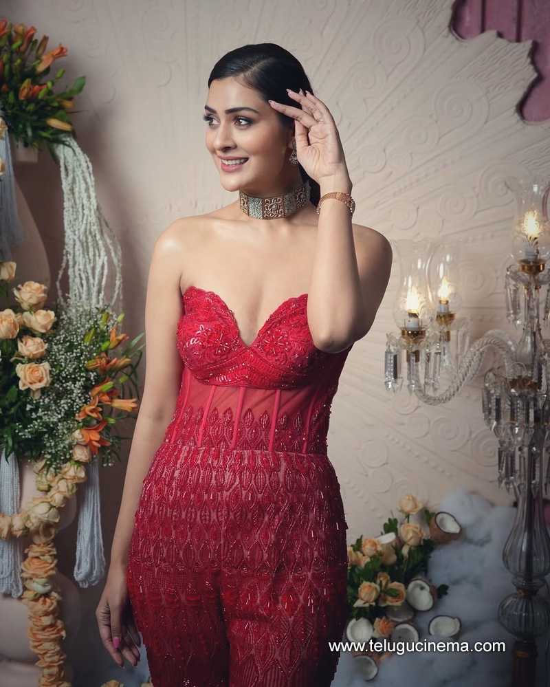 payal stills 14042503