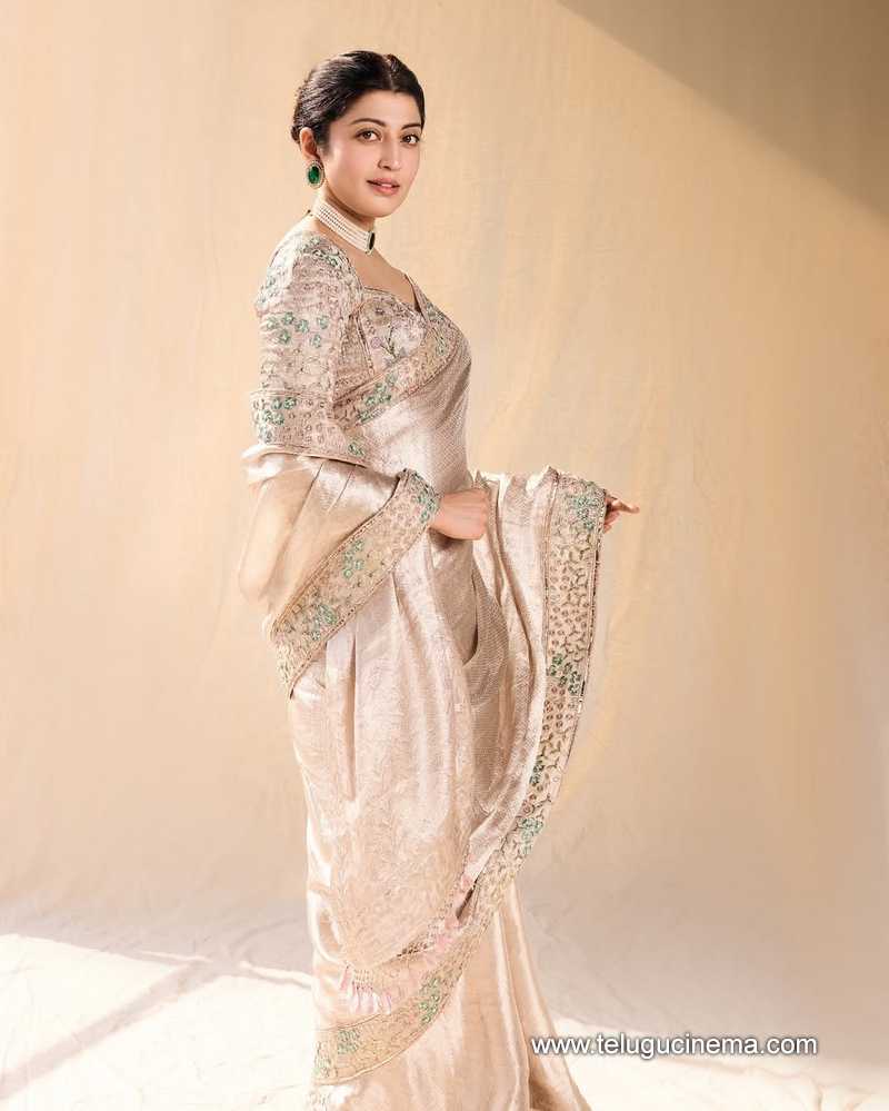 pranitha stills 28042507