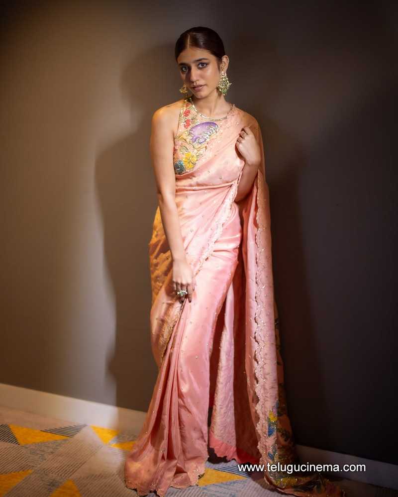 priyavarrear stills 21042503