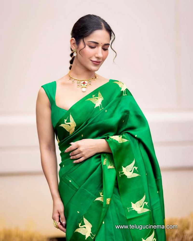 ruhani stills 28042507