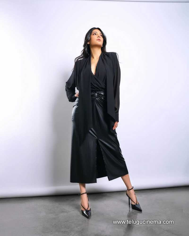 shruthihasan stills 02052505