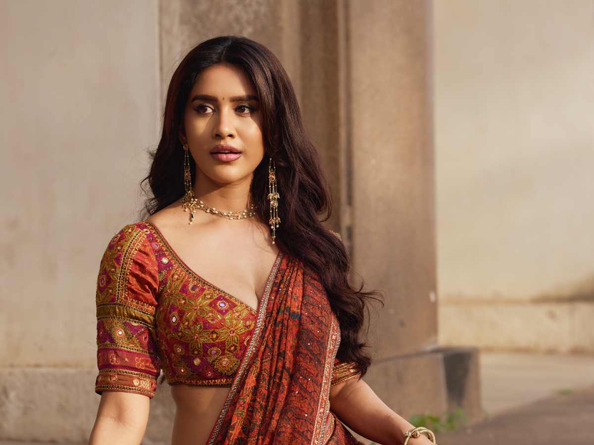 Nabha Natesh
