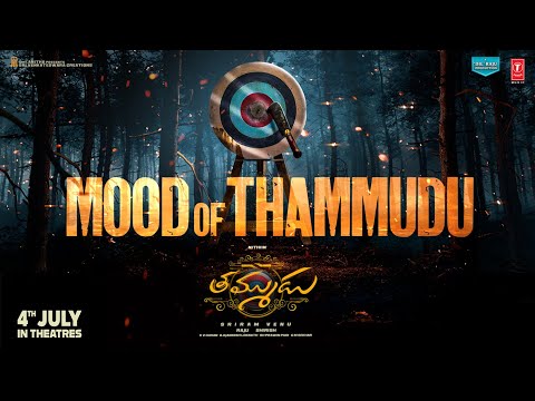 Mood Of Thammudu | #ThammuduOnJuly4th | Nithiin | Sriram Venu | Raju - Shirish