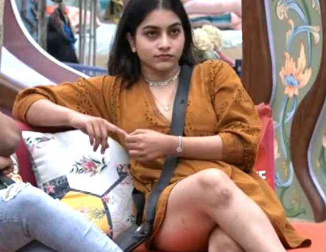 పునర్నవితో ఎఫైర్.. గతం గతః 3 punarnavi bhoopalam biggboss