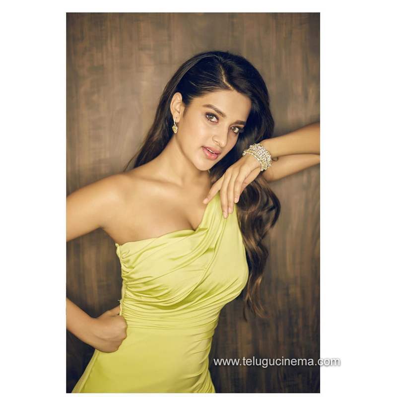 nidhiagarwal stills220820 001 1
