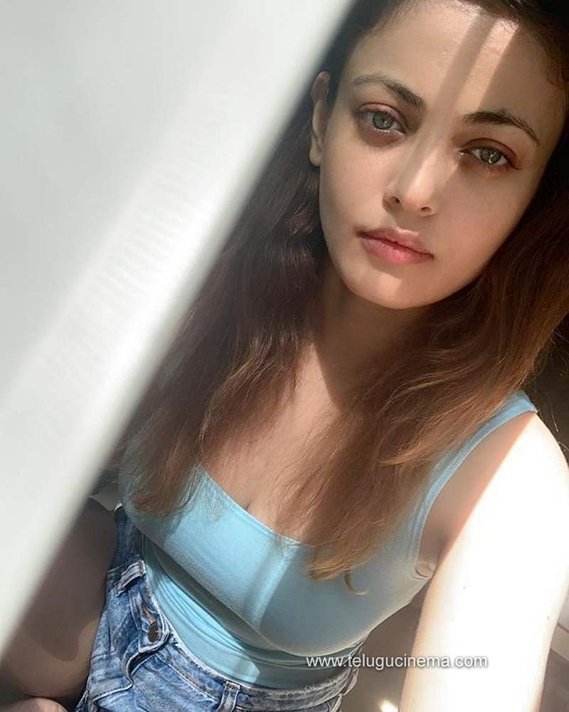 snehaullal stills280820 002