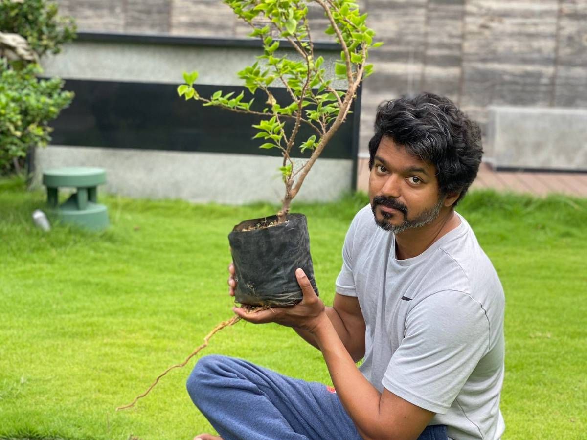 Vijay