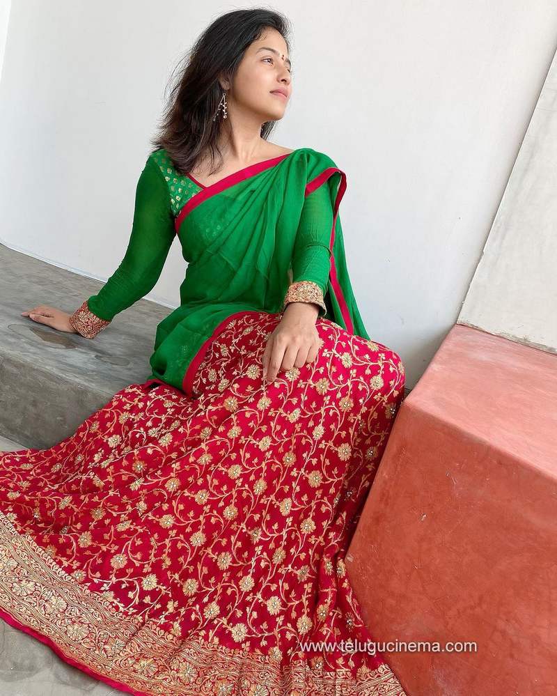 anjali stills 071120 003