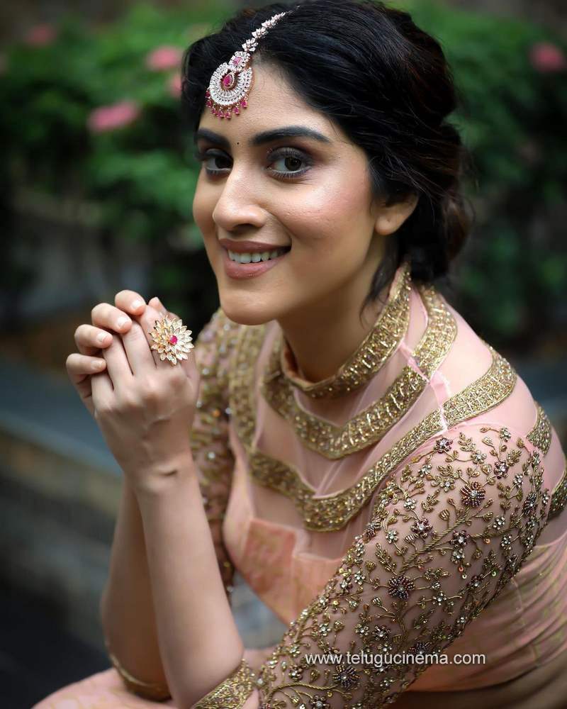 danyabalakrishna stills 101120 001