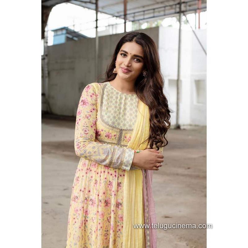 nidhiaggerwal stills 061120 002