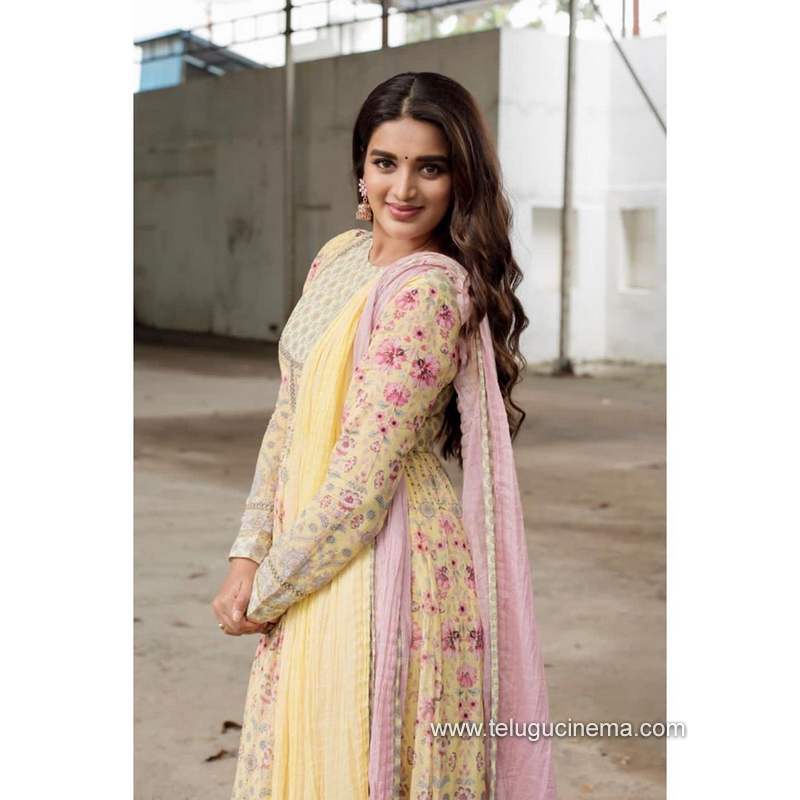 nidhiaggerwal stills 061120 003
